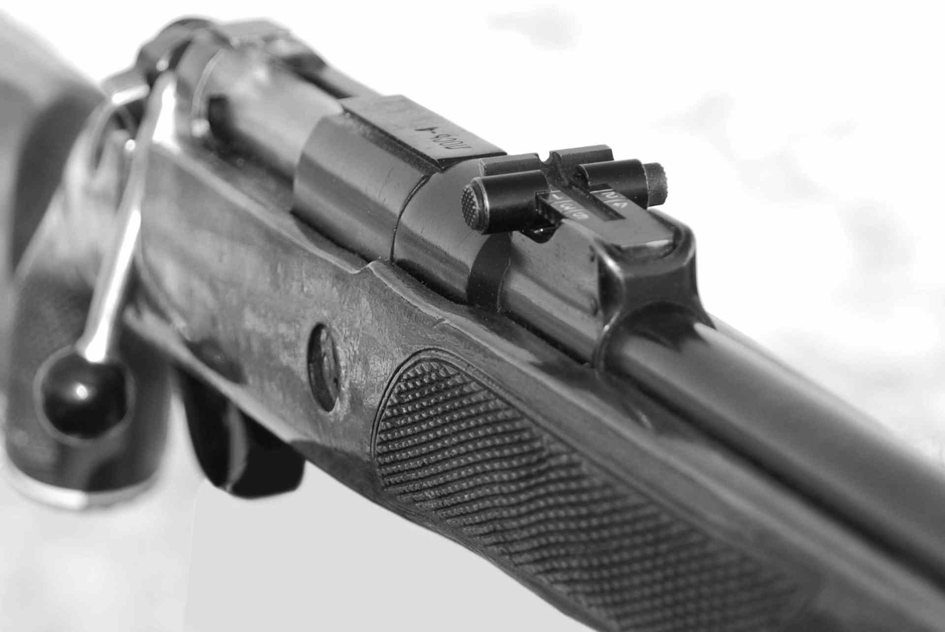 Лось 7 1 Вылетает Магазин