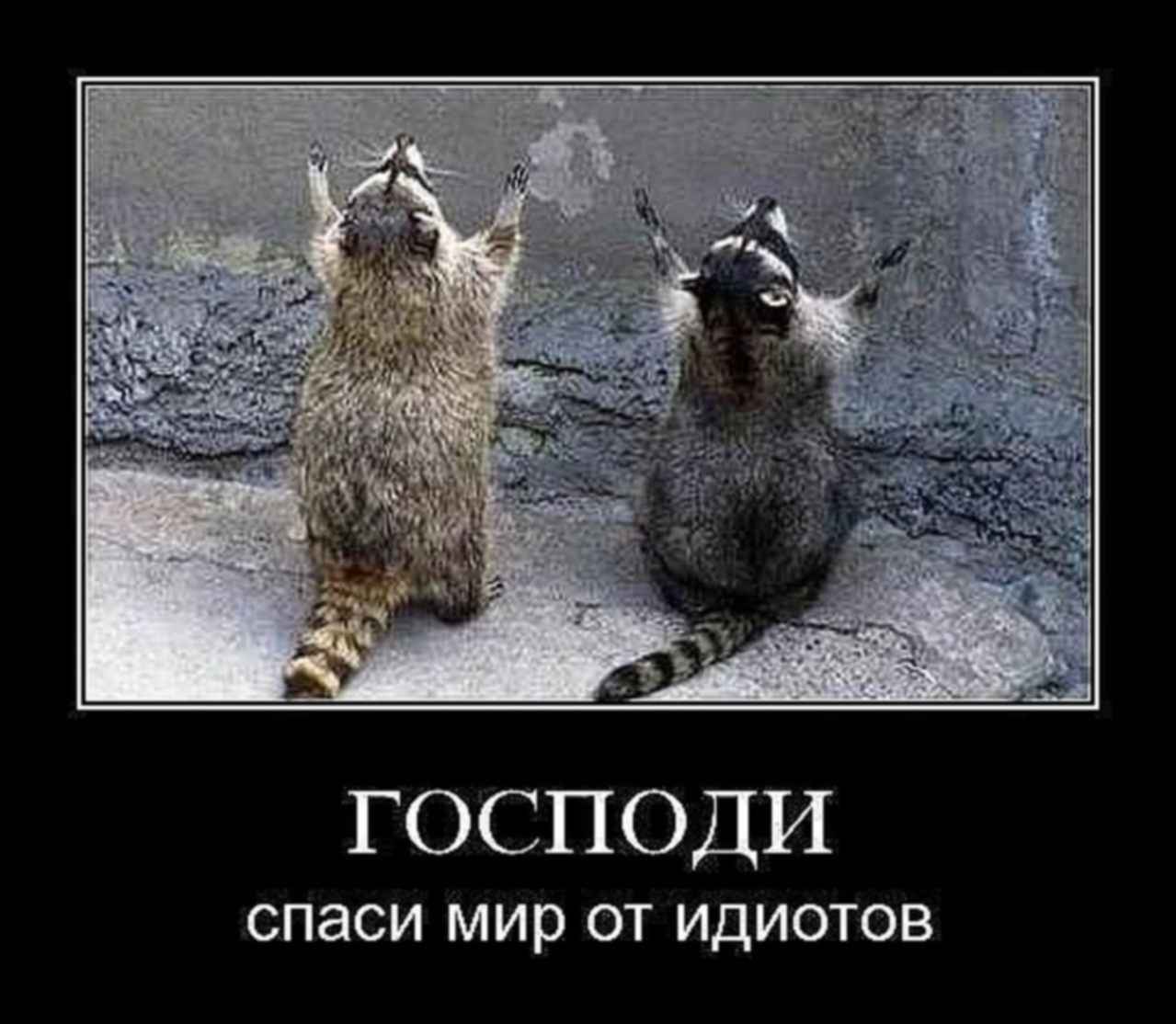 Картинки приколы про пятницу