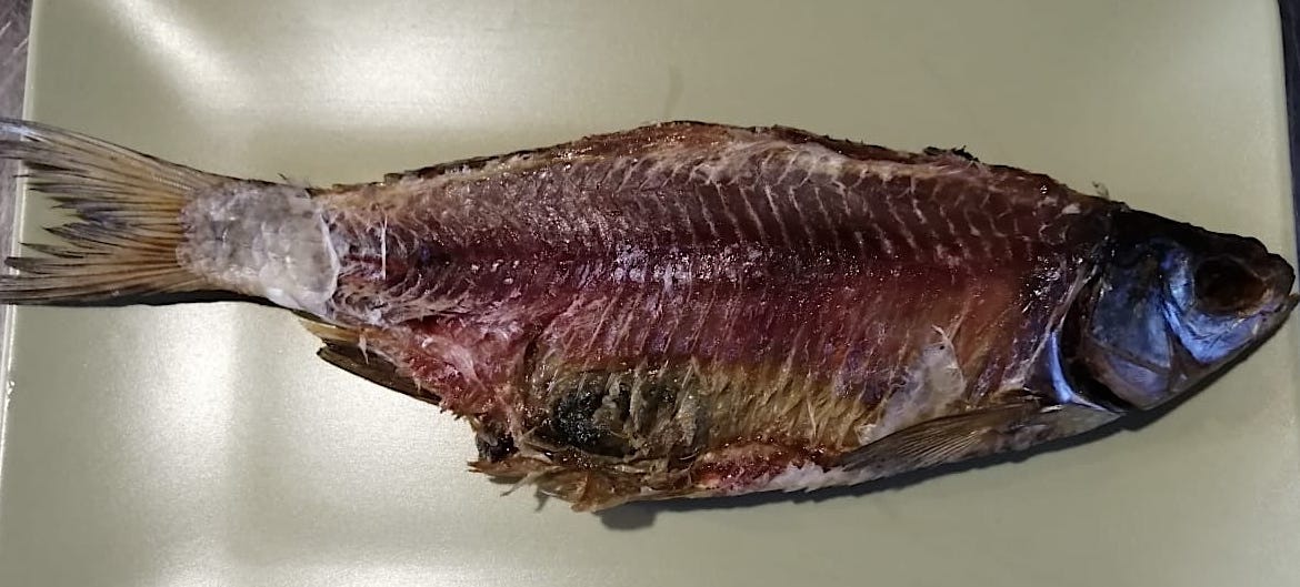 Рыба Красноглазка Фото Где Водится – Telegraph