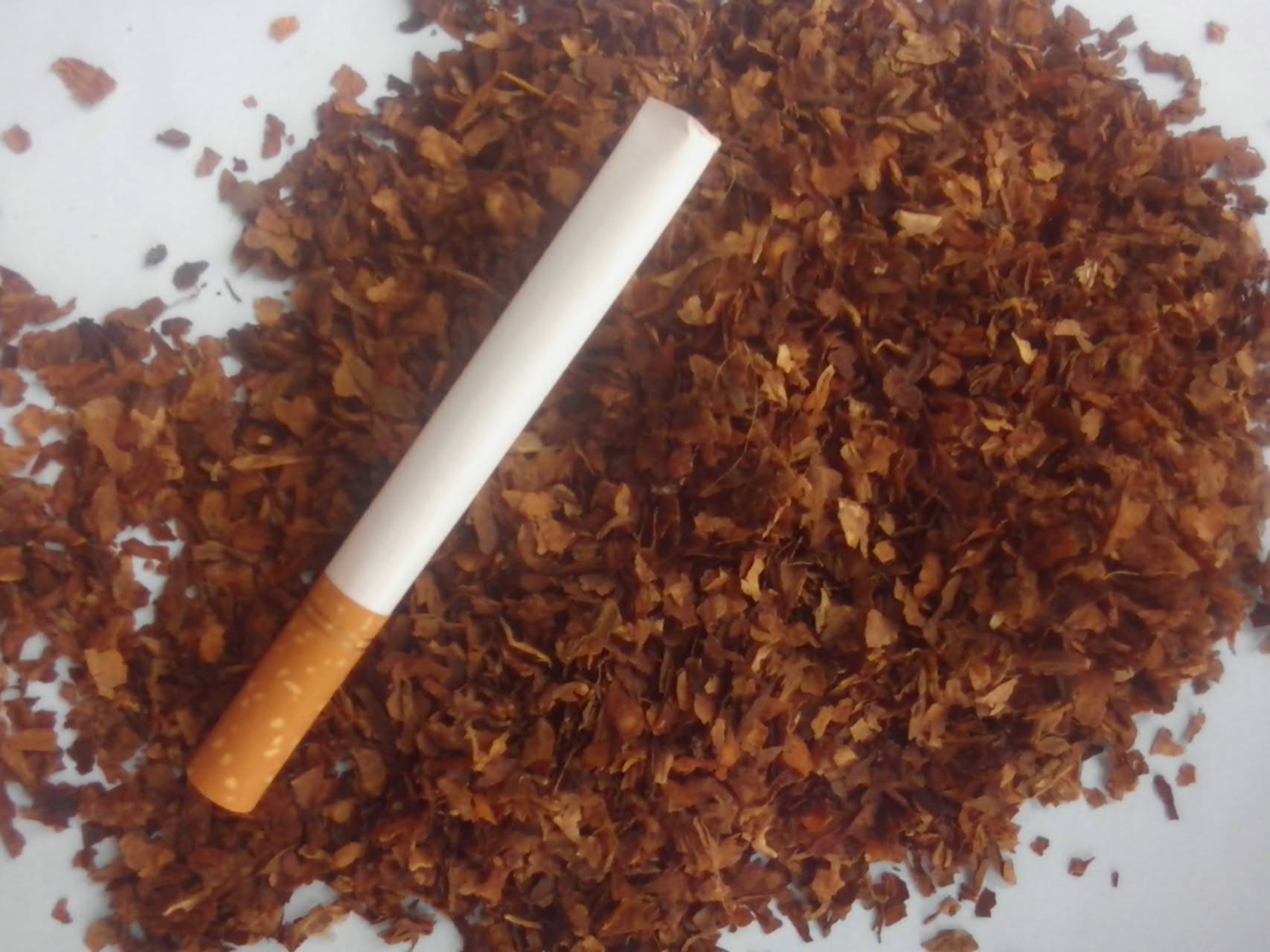 Где Купить Развесной Табак В Нижнем Новгороде