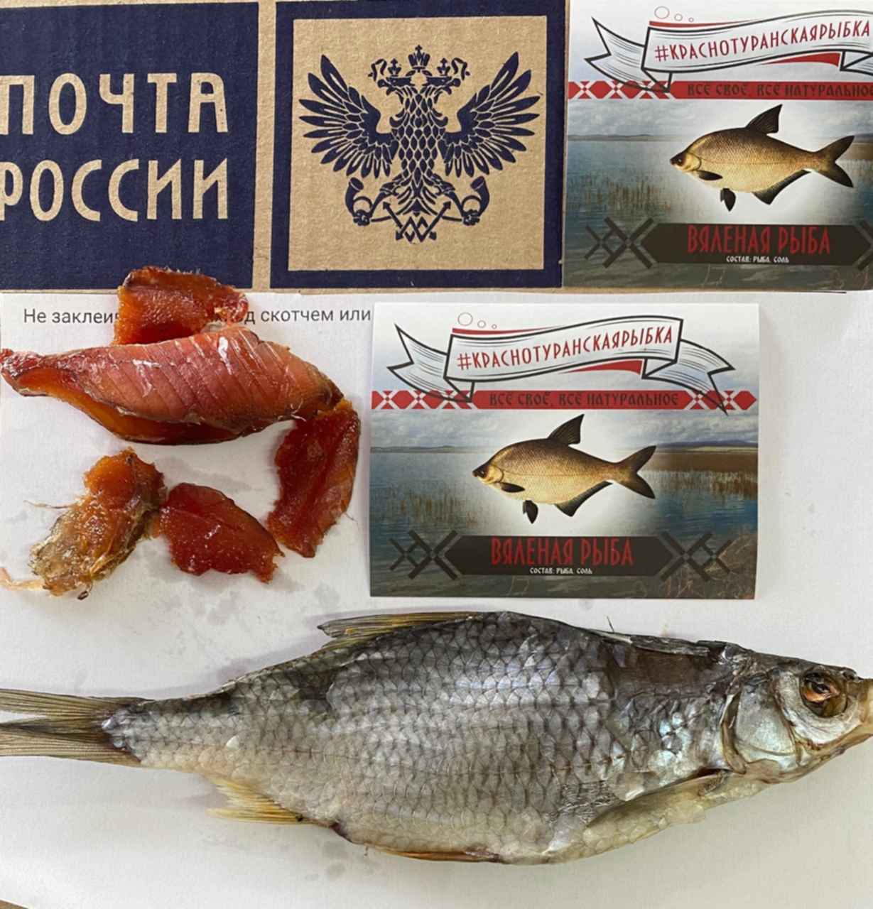 Рыболовный Магазин Сорога