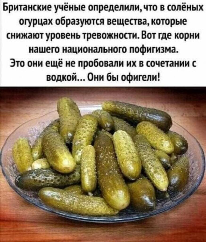С днем горькой жопки огурца
