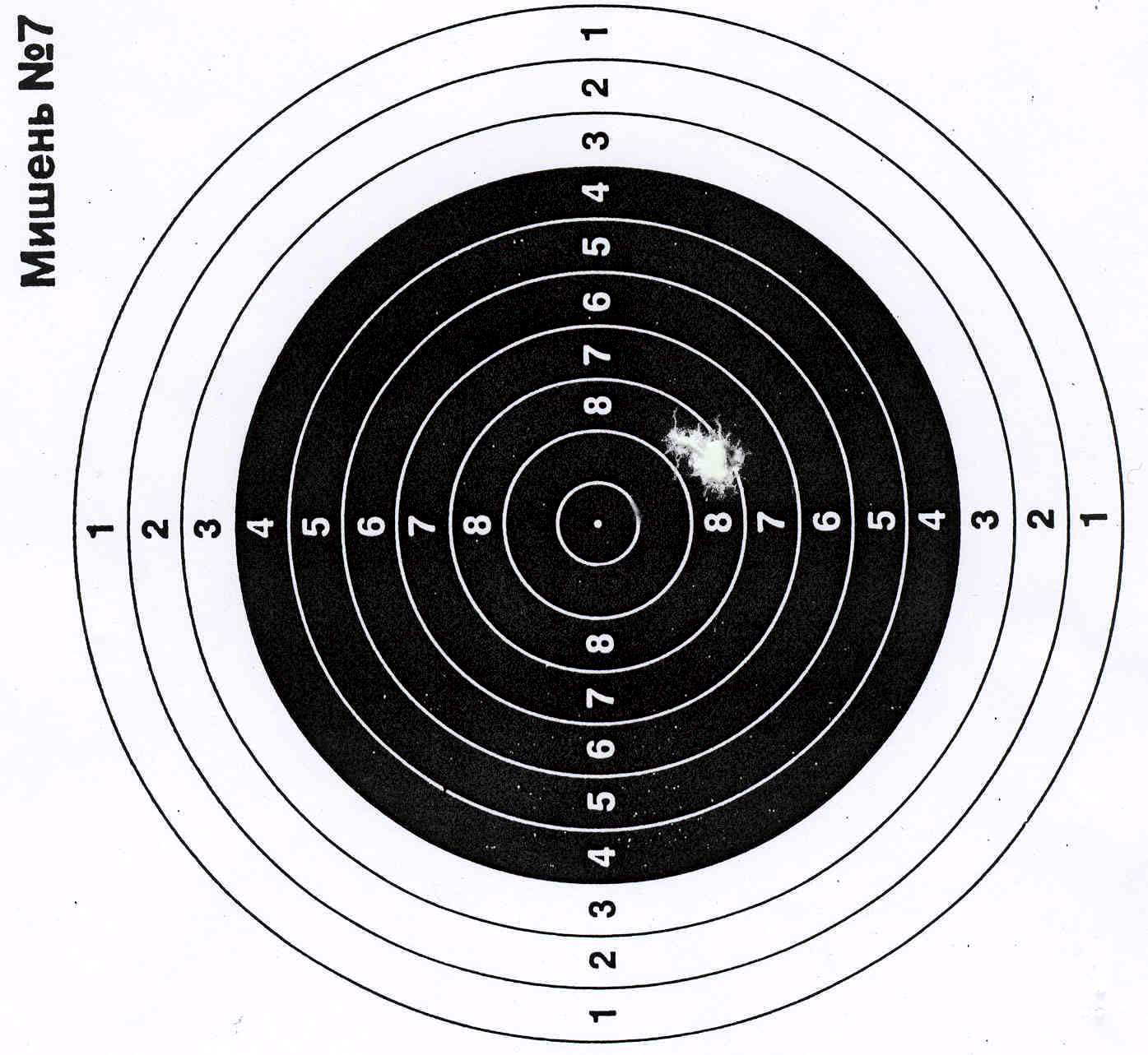 Мишень для пневматической винтовки. Мишень а4 для пневматики мишень а4 для пневматики. Мишени для пневматики а4 пристрелочная. Пристрелочная мишень на 100 метров. Мишень Гамо.