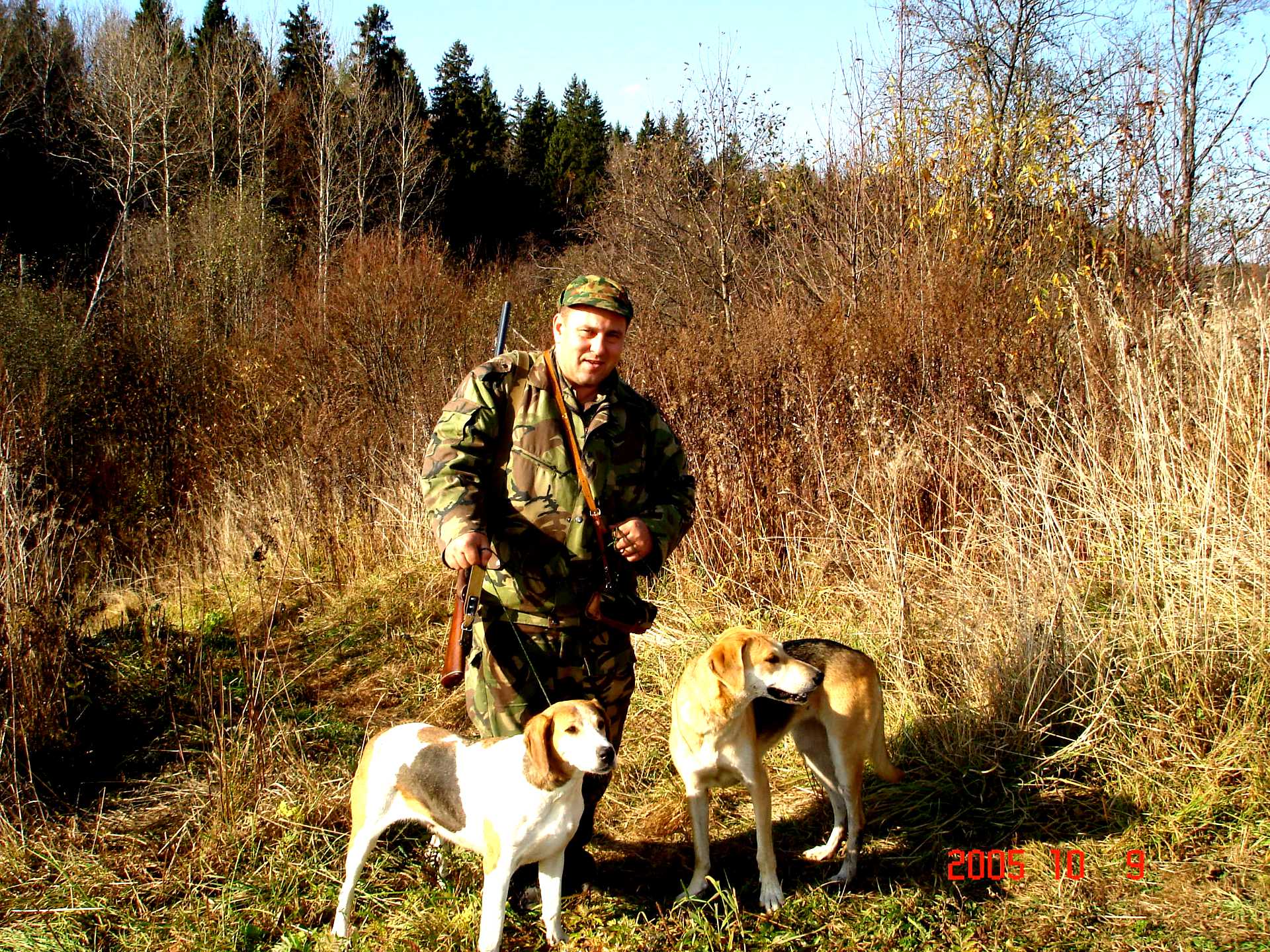 Картинки с охотниками и собаками