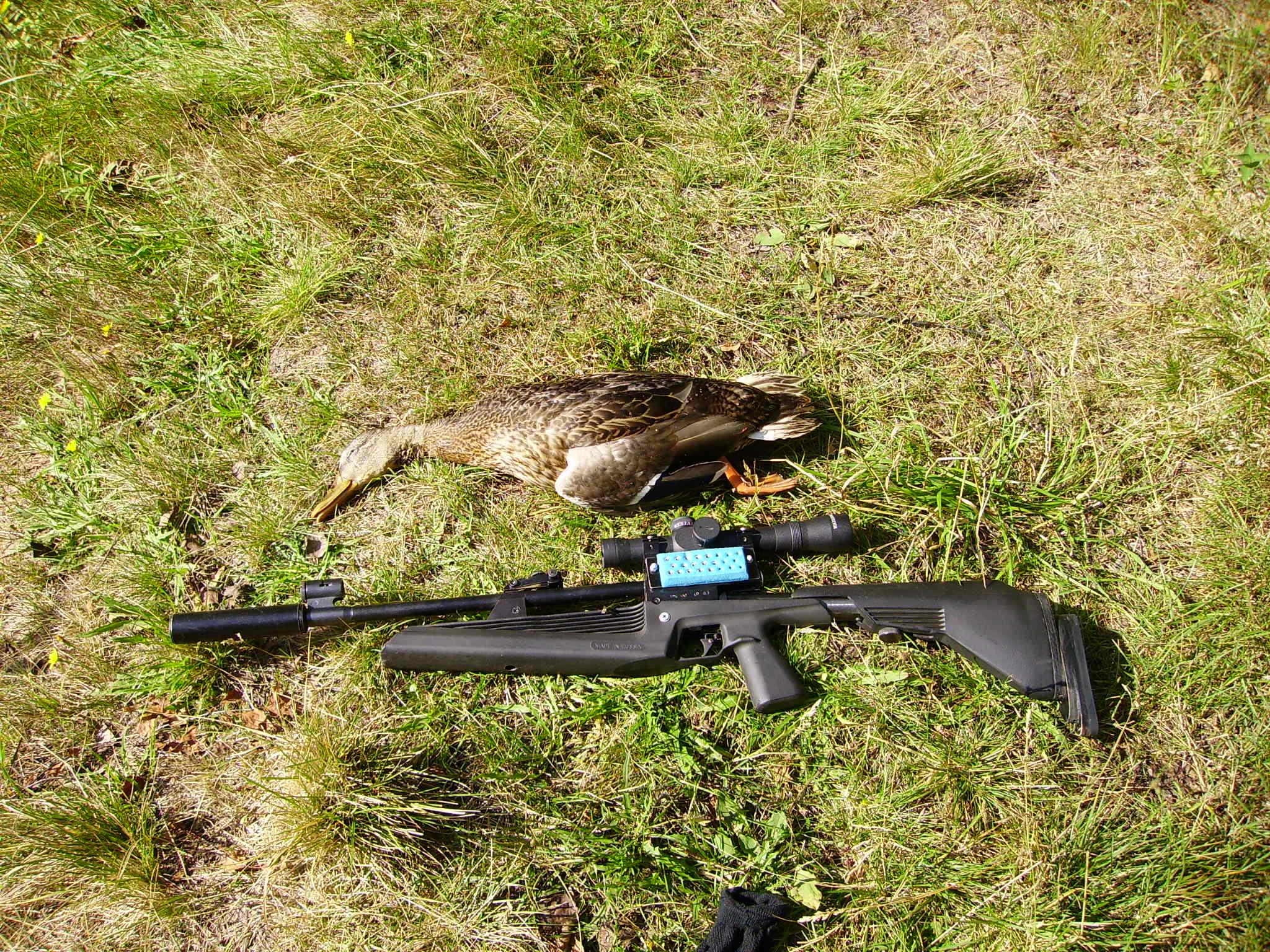 охота с пневматикой хатсан 125. воздушка хатсан 125 для охоты. пневматика на утку. пневматика на утку. пневматика на утку.