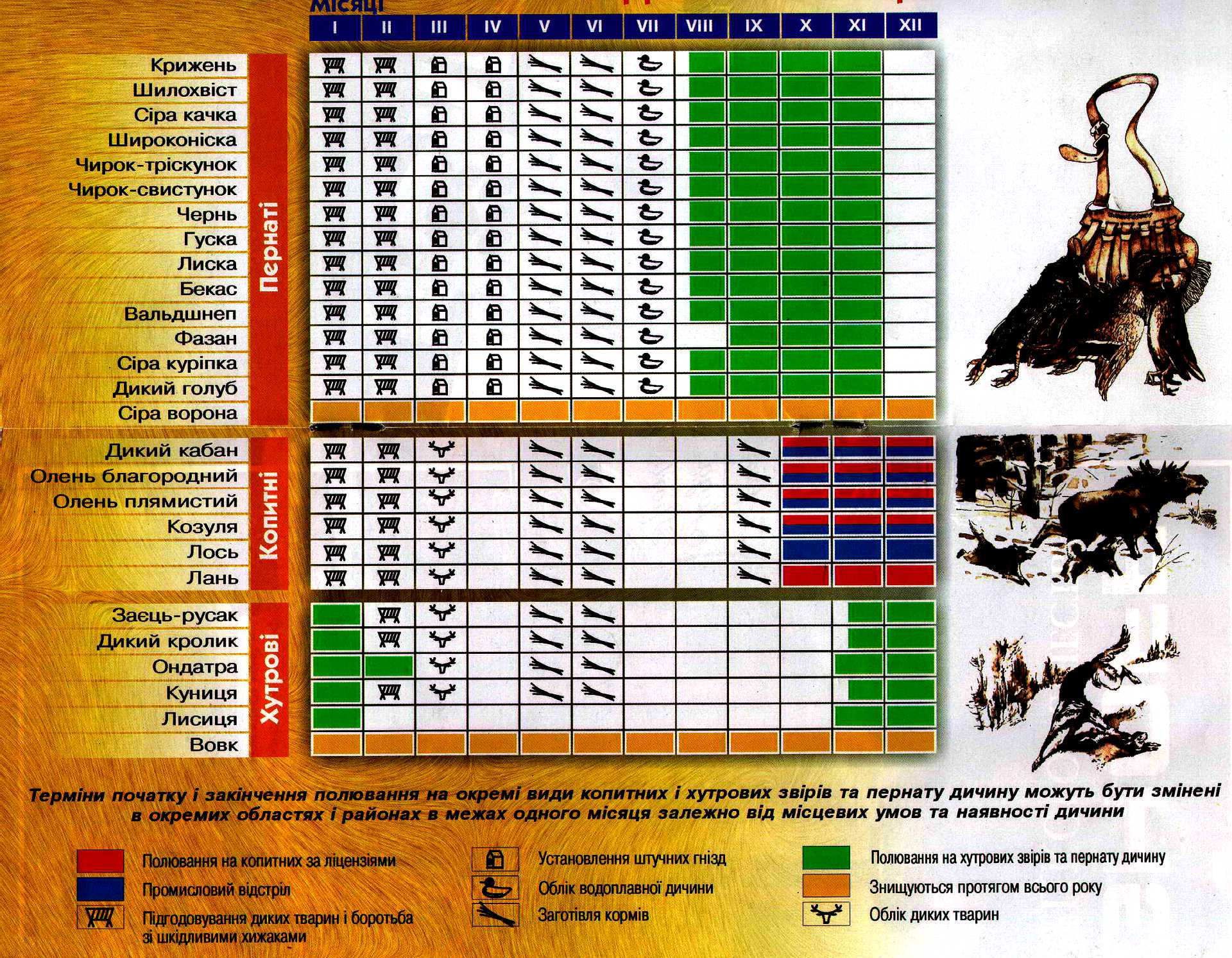 Периоды охоты. Календарь охота. Таблица сроков охоты. Расписание охоты.