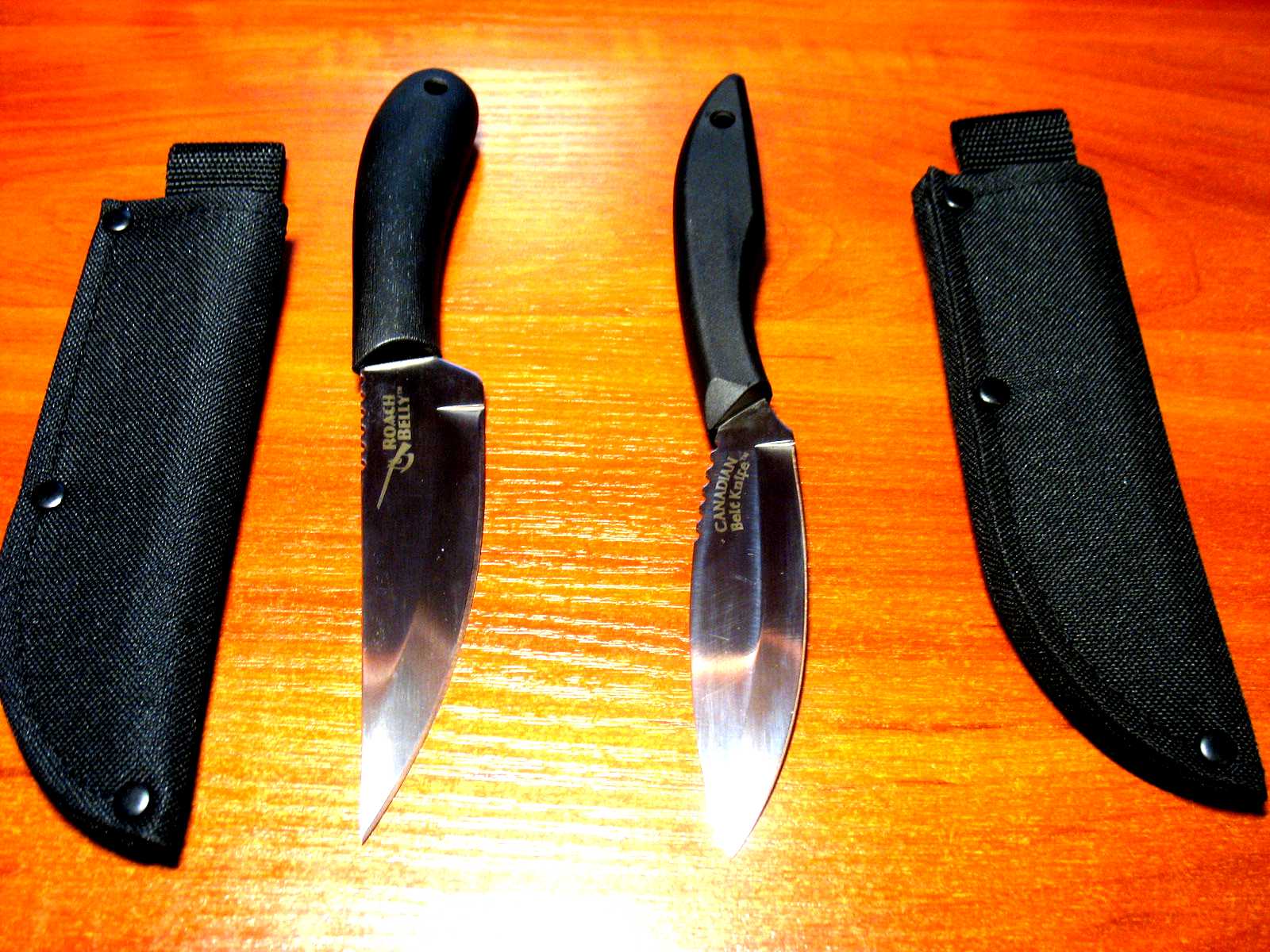 Покажи ножи. Cold Steel Canadian Belt Knife. Cold Steel Canadian Belt. Колд стил канадский. Cold Steel Roach belly и Canadian Belt Knife.