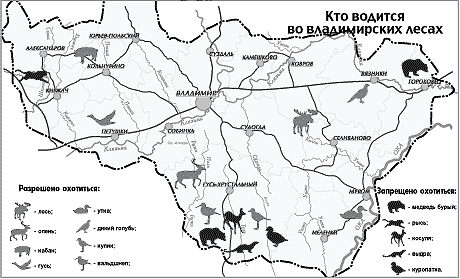 Владимирские охотхозяйства. Животный мир Владимирской области карта. Карта животных Владимирской области. Карта растительности Владимирской области. Охотугодья Владимирской области карта.