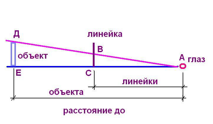 Определение размера объекта по фотографии