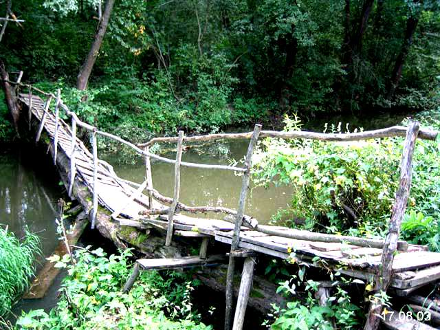 Восьма. Иваньковский Сосновый Бор на реке восьма. Река восьма.