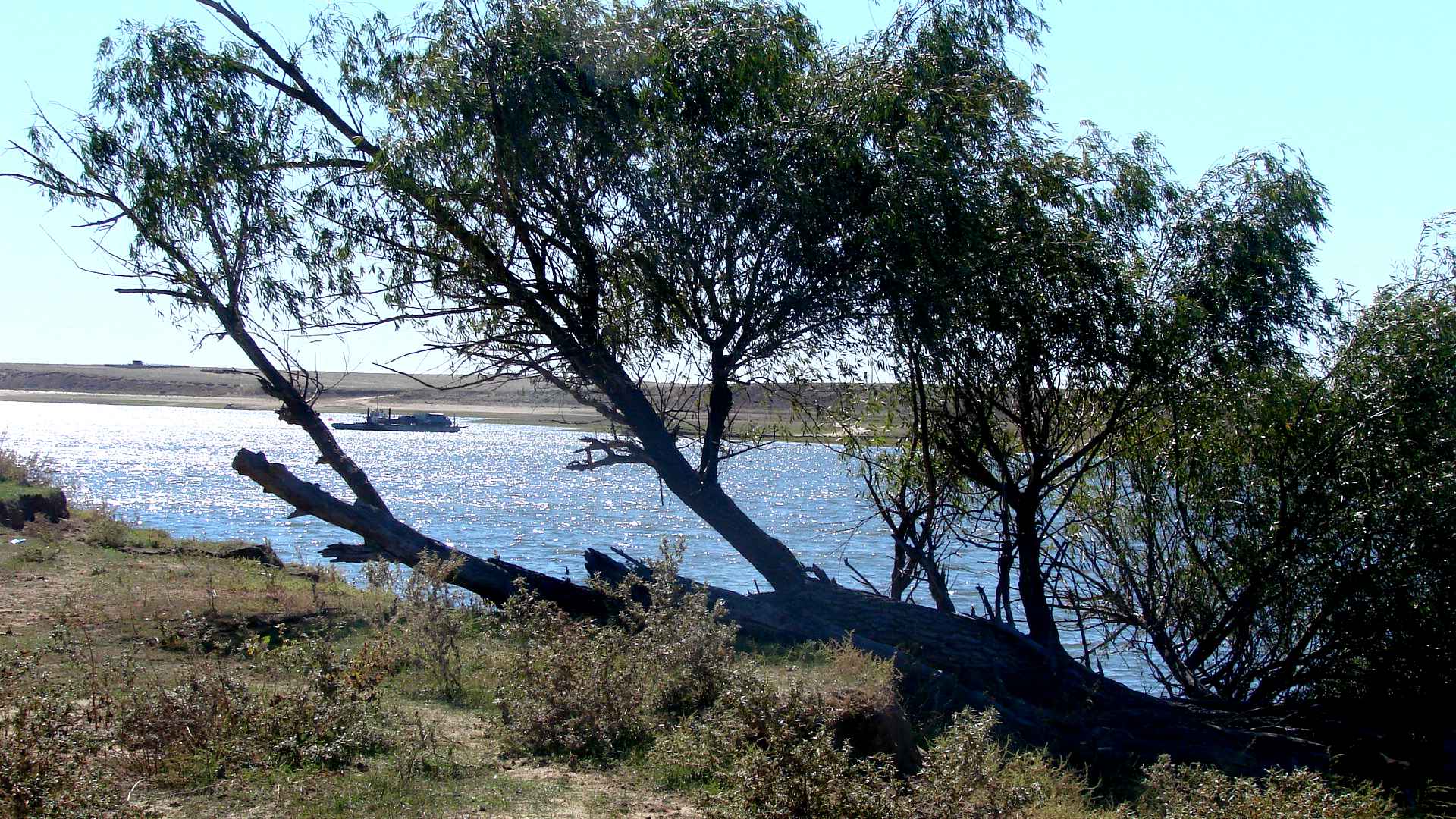 Погода большое кабанье. Погода большое кабанье. Погода большое кабанье. Большие кабаны татарстан. Погода большое кабанье.