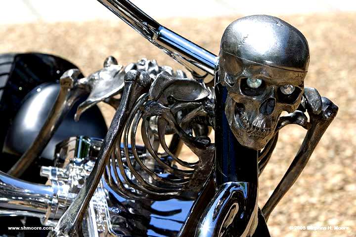 Iron Death Skeleton Bike