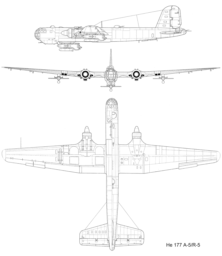 Auctus177