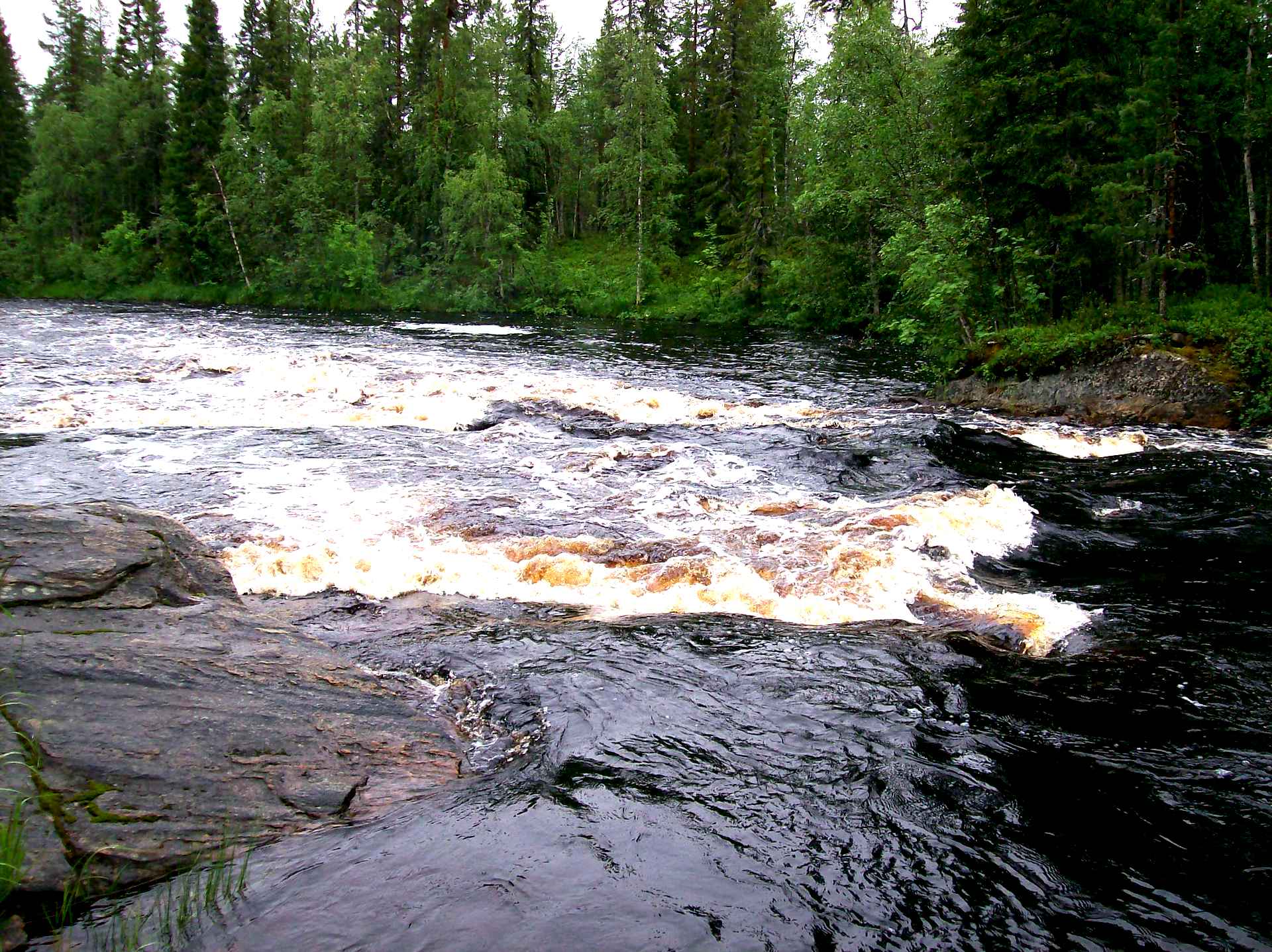 Река кузёма Карелия. Река Кузема. Река Кузема рыбалка. Река Кузема Карелия рыбалка.