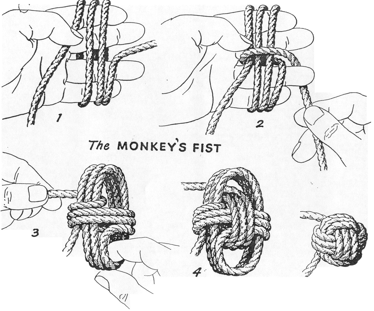 Кулак обезьяны - Monkey fist.