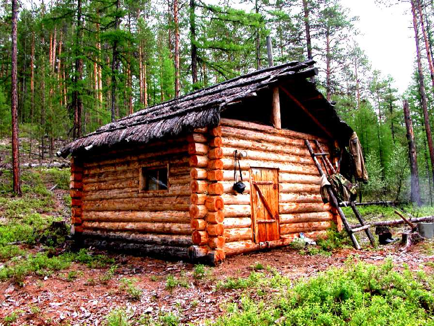 Страшная Ночь В Зимовье В Лесу Фото