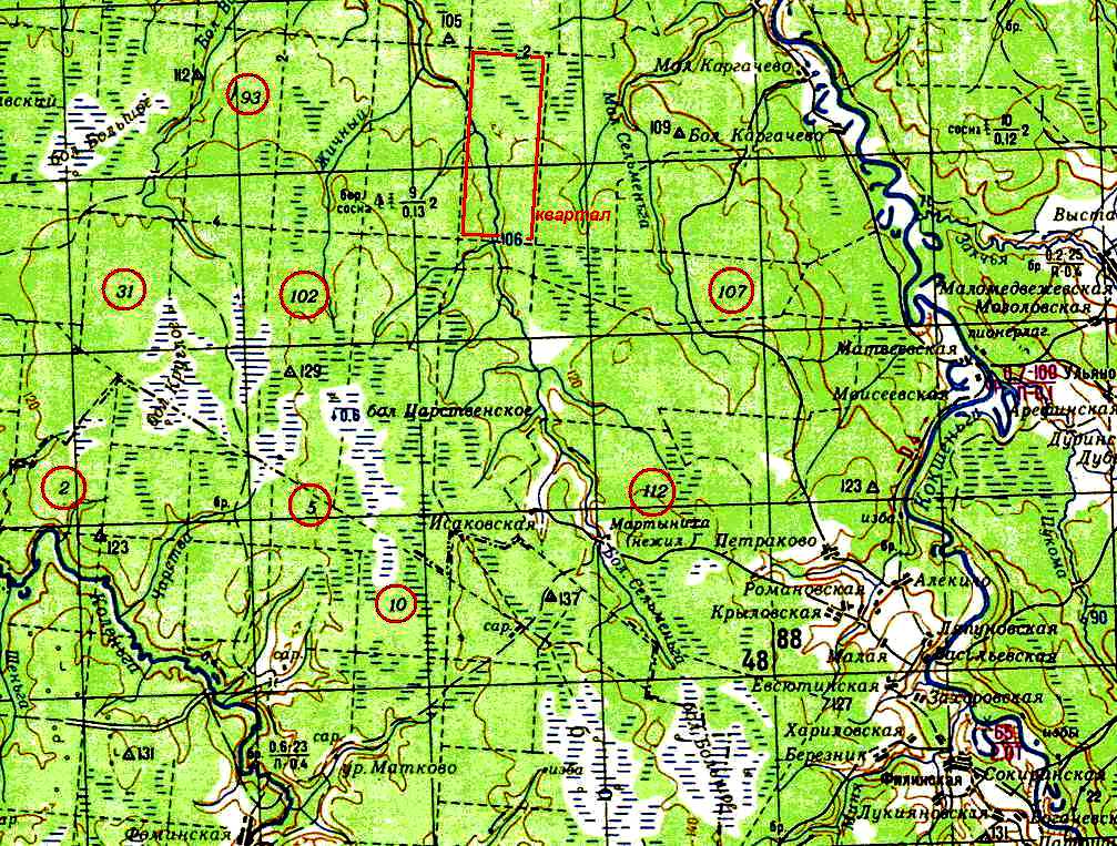 Топографическая карта леса