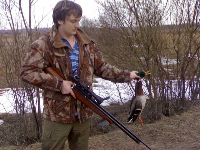 охота на утку с хатсан 125. охота на утку с хатсан 125. охота с воздушкой хатсан 125. охота с пневматикой хатсан 125. охота на воробьев с пневматики.