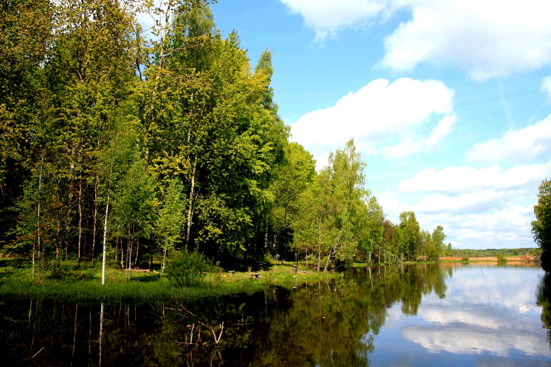 Леса и реки Калужской области