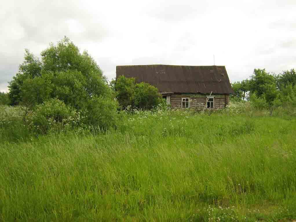 Деревня бобки фото