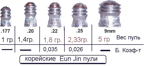 Образец для пули дуры 4 буквы