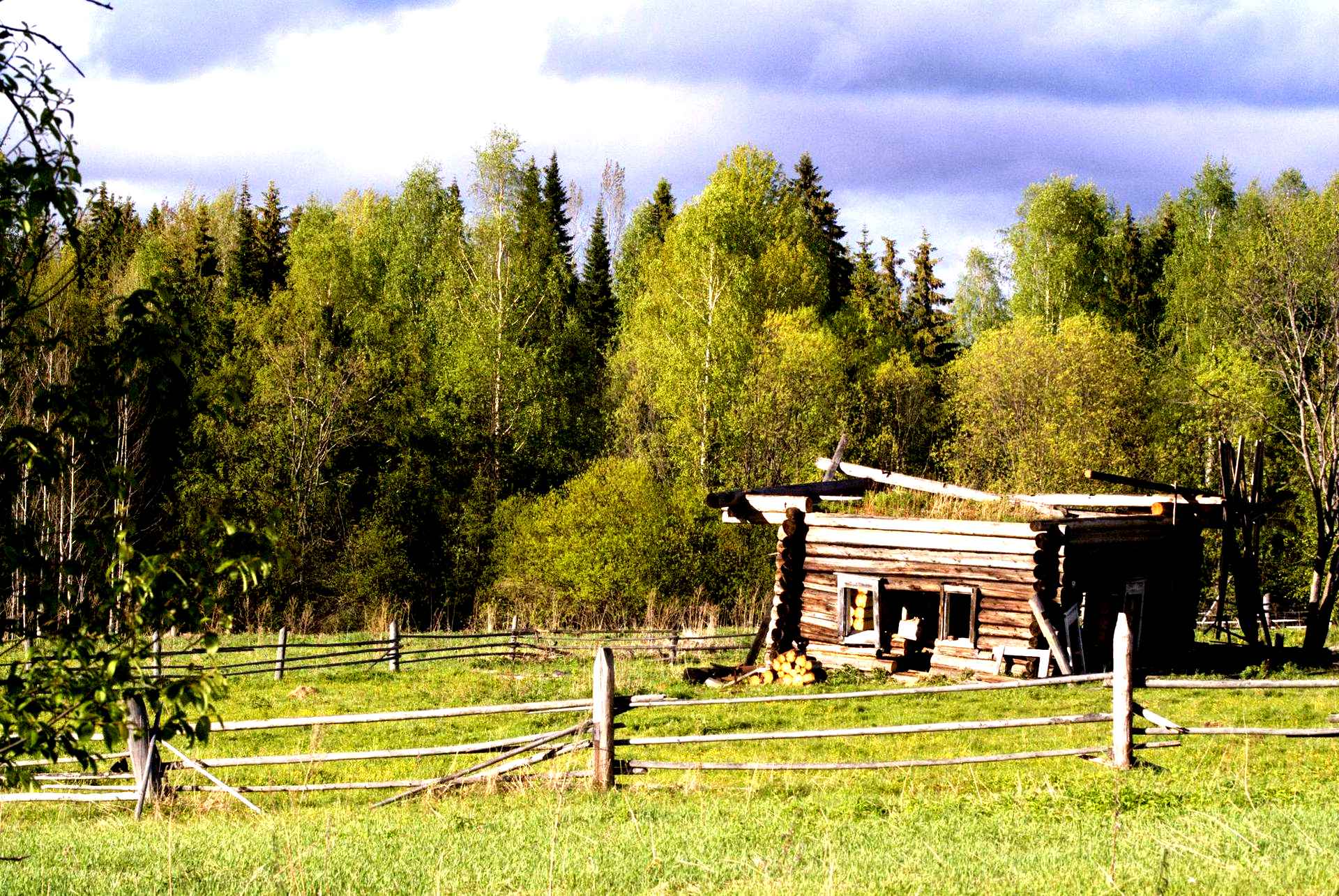 Село в красноярском крае. Тайга Урала заброшенные деревни. Заброшенные деревни в тайге. Заброшенные деревни в Сибири тайге. Дом в глубокой тайге.