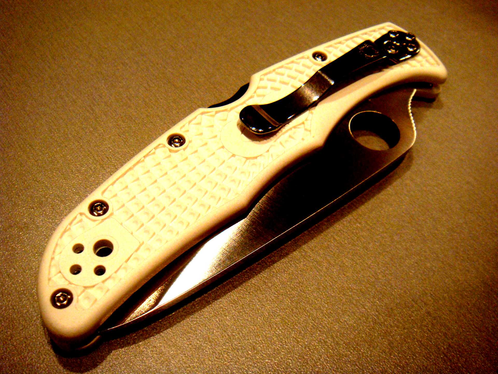 Spyderco endura