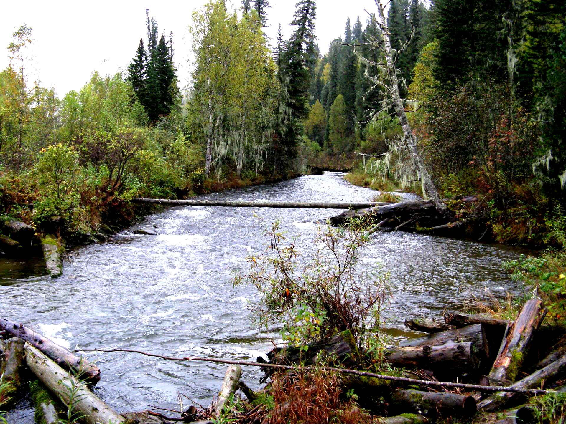 порно ролики большие члены в малолетках фото 41