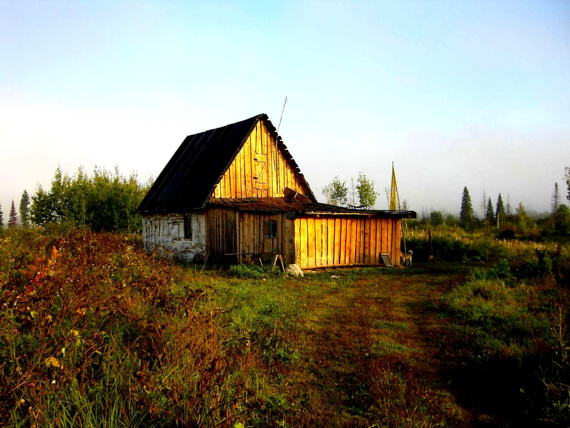 Деревня лесная. Дом Пасечника. Домик Пасечника.