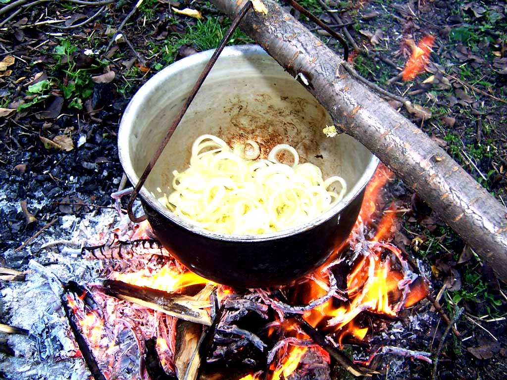 Вкусное на костре. Блюда на костре. Готовка на костре. Блюда на костре на природе. Пища на костре.