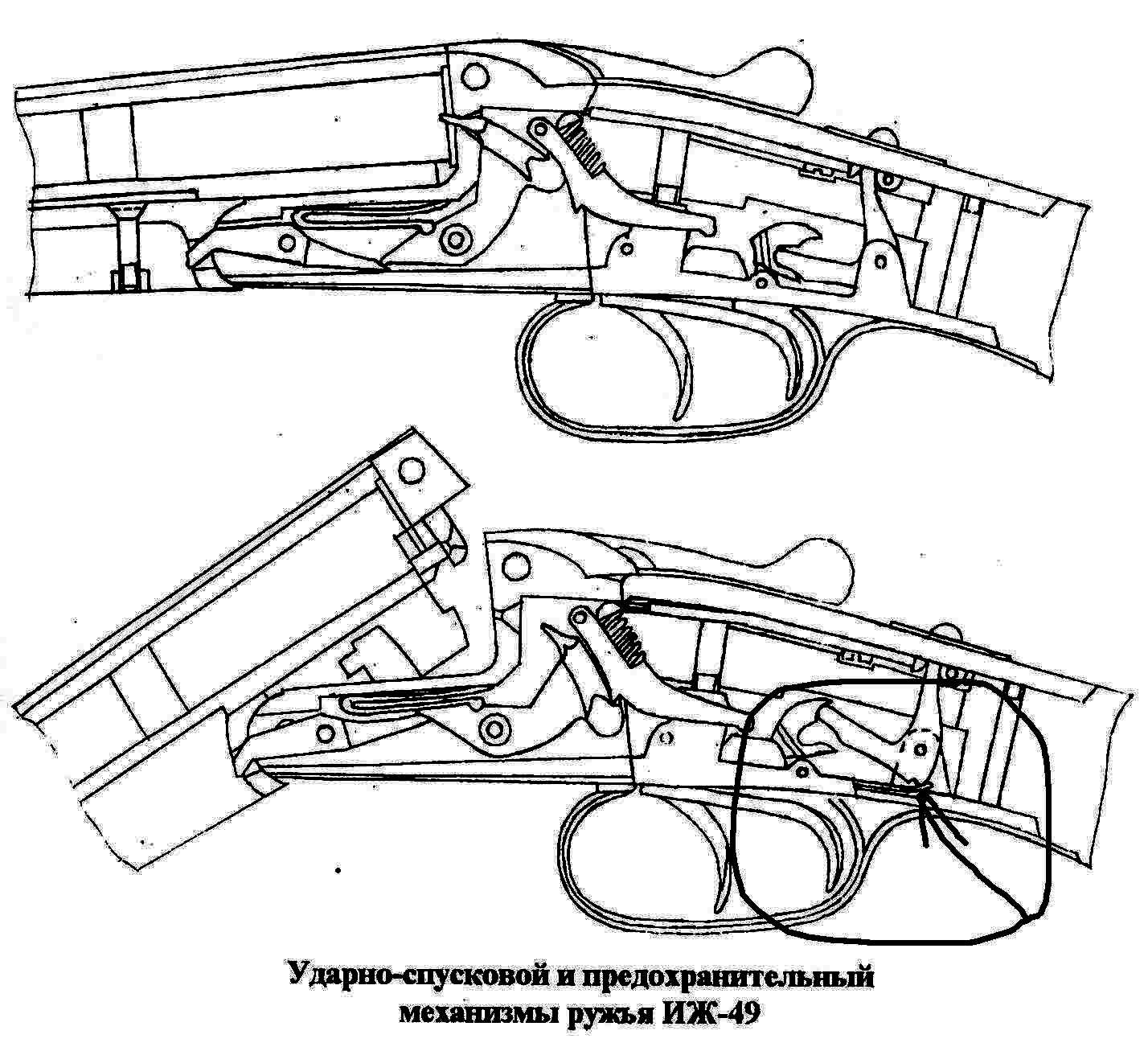 Иж 5 ружье чертеж