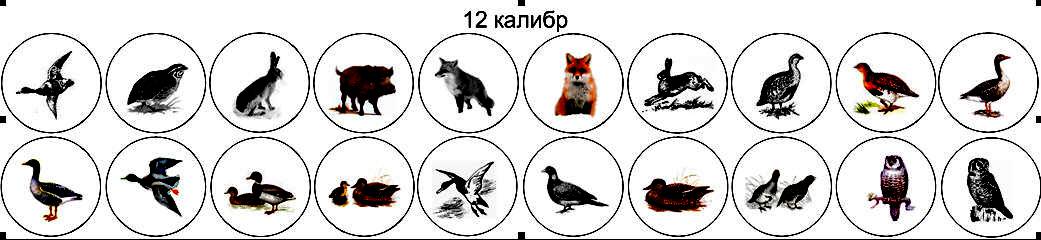 Маркировка охотничьих патронов 12 калибра таблица показать