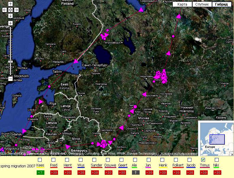 Карта миграции гусей в россии весной