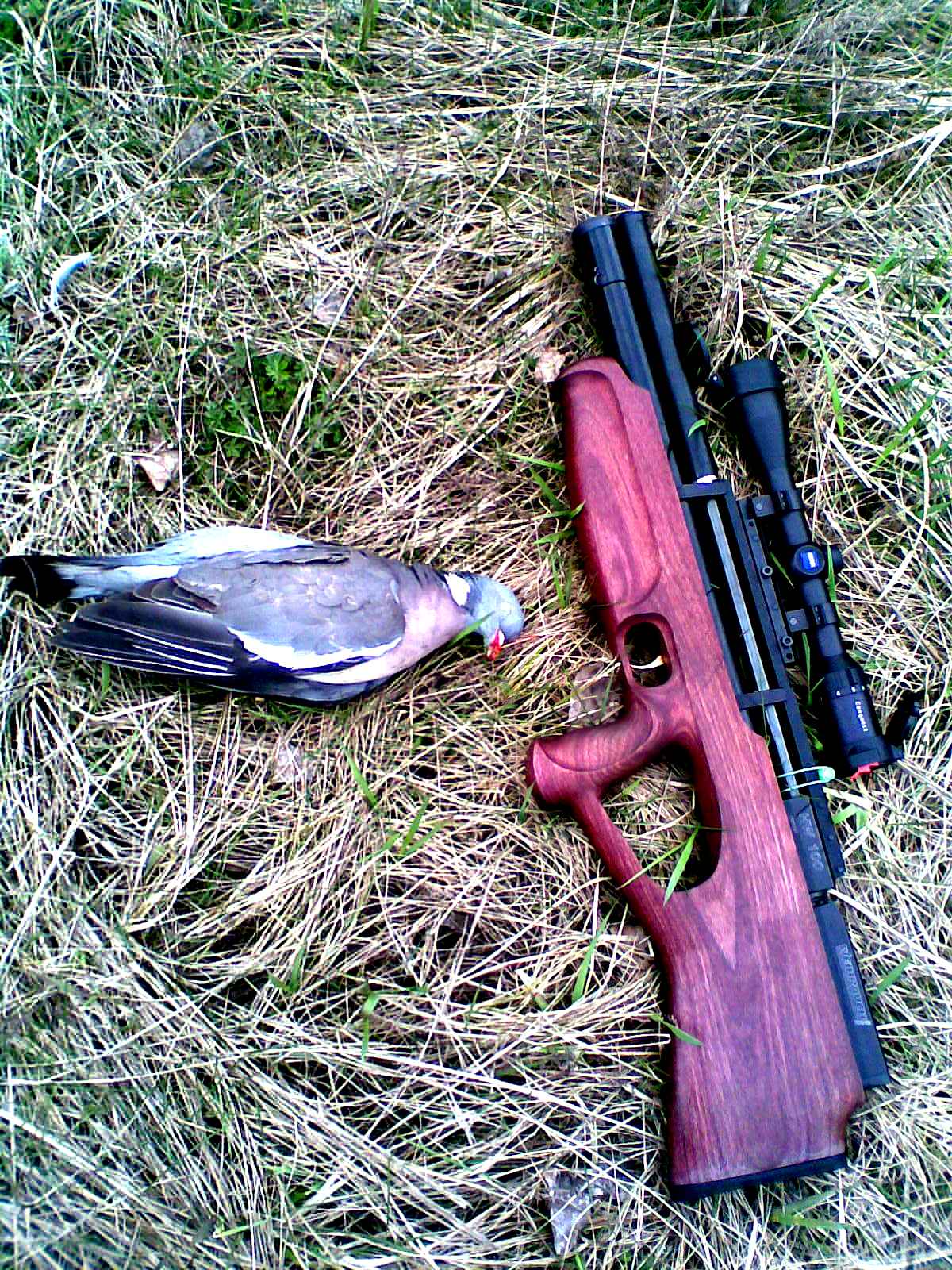 пневматика на утку