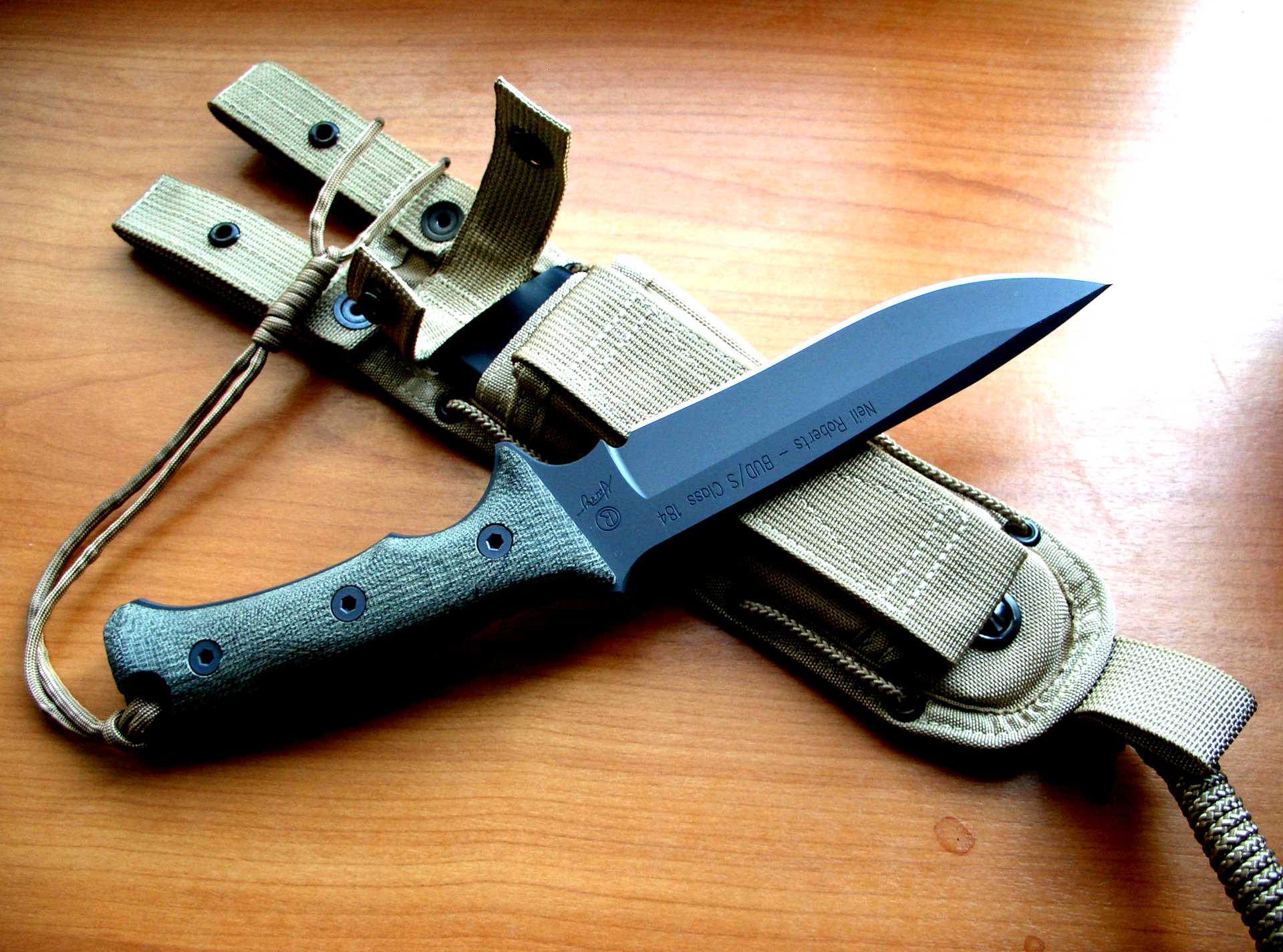 Jak knife. Нож Neil Roberts Warrior Knife. Нож Chris Reeve Neil Roberts Warrior. Боевой нож Катран. Боевые ножи с серейторной заточкой.