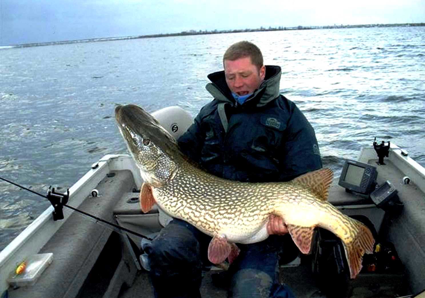 Щука 49 кг на Ладожском озере