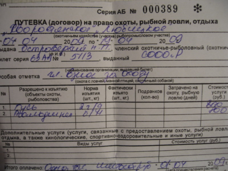 Путевка на охоту 2020. Путевка на охоту. Путёвка и разрешение на охоту. Путевка договор на право охоты.