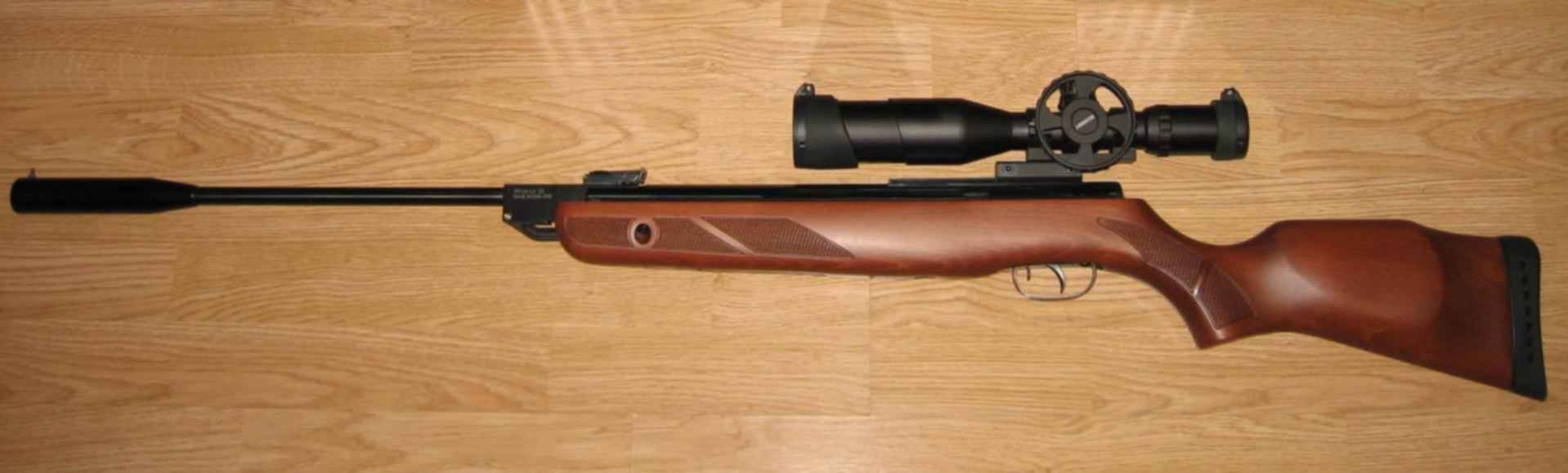 Gamo hunter 1250 с прицелом. винтовка гамо хантер 1250. Gamo hunter 1250. гамо гризли 1250. пневматика гамма хантер 440.