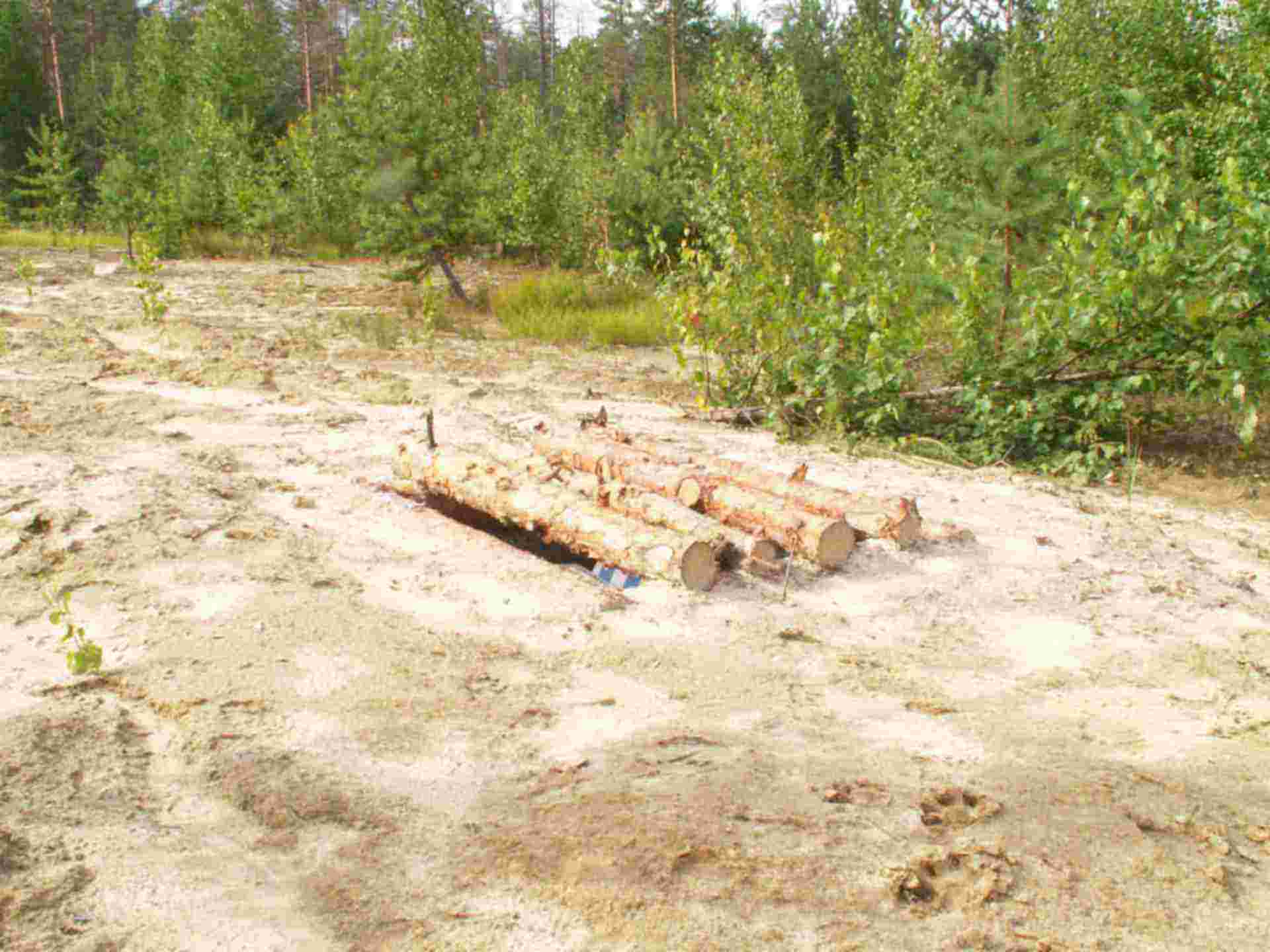 Охотника привада на медведя. Ловушка на медведя из бочки. Привада на медведя весной. Привада на медведя. Ловушка на медведя.