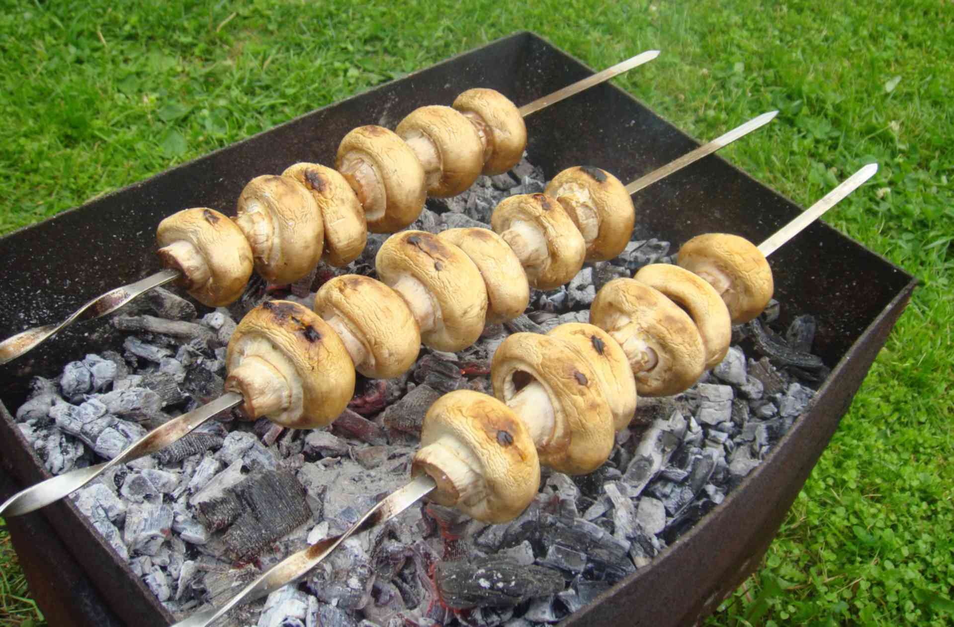 Грибы для жарки на костре. Грибы для жарки на костре. Грибы на шампурах на мангале. Грибы на мангале. Грибы для жарки на костре.