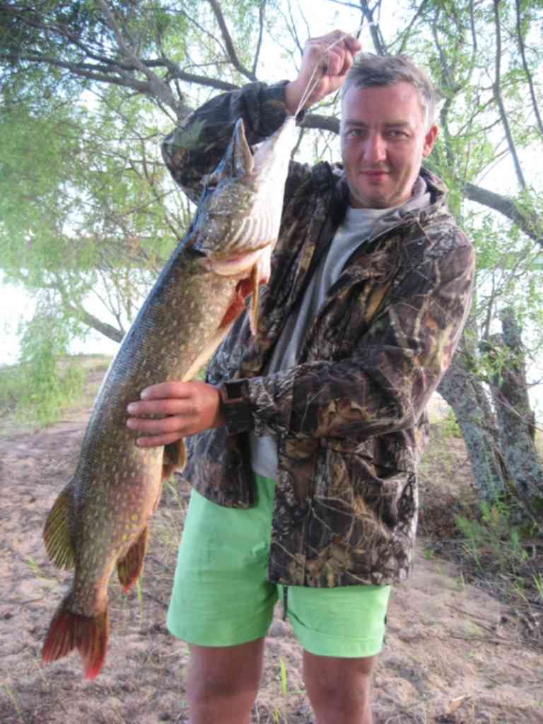 Озеро селигер рыбалка. Рыболовные места Селигера. Самая большая рыба на Селигере. Рыбалка на Селигере летом.