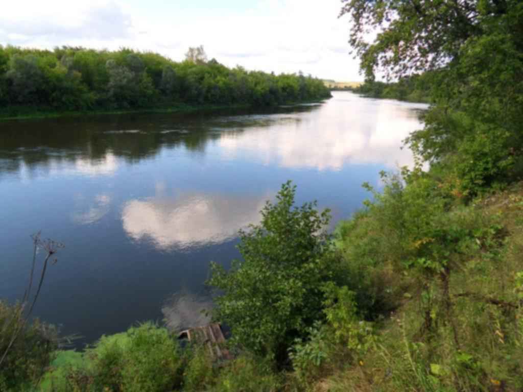 Пензенский край. Никольский пруд Кузнецкий район. Река Пенза Пензенского края. Сурский край Пензенская область. Природа Сурского края Пензенской области.