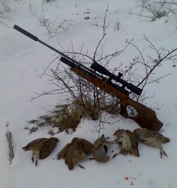 Охота с хатсан 125. Hatsan 125 magnum. Модифицированный хатсан 125. Охота с хатсан 125. 5 хатсан 125.