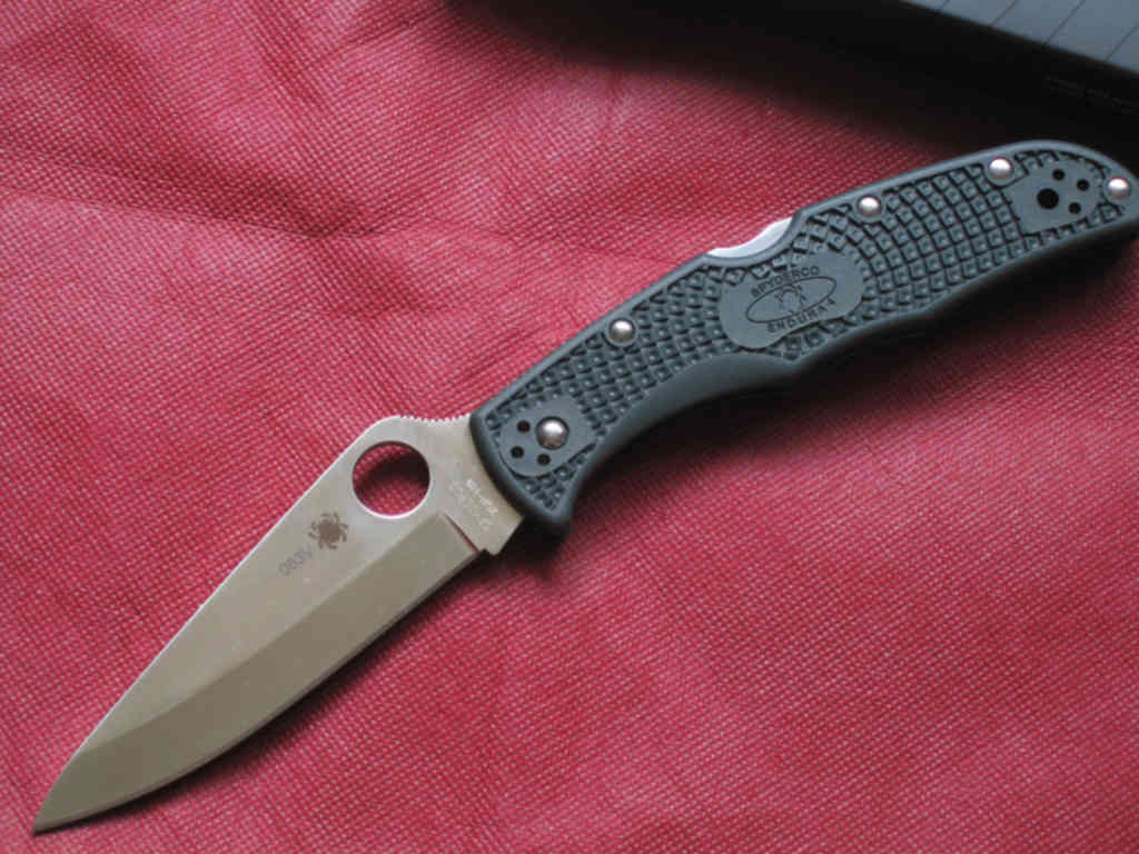 Spyderco endura