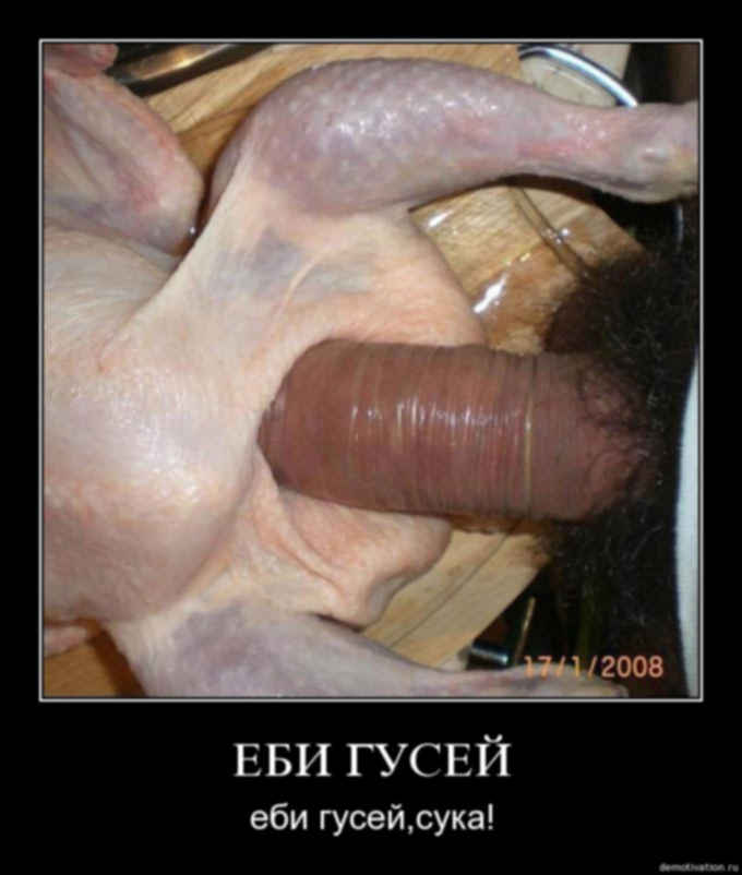 Порно С Курами И Матом Русское