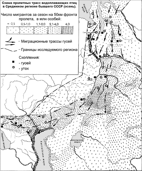 Карта миграции гуся весной