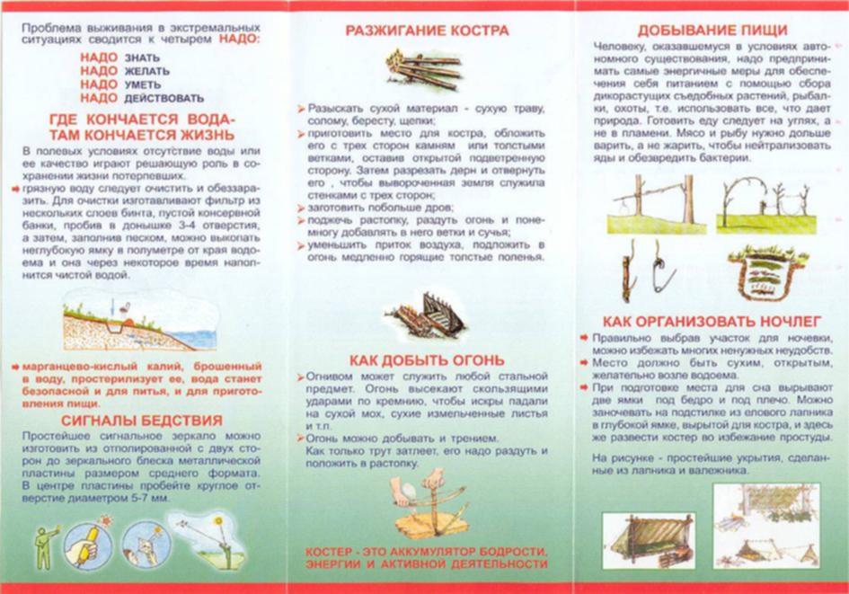 Итоговый проект выживание в природной Памятки-инструкции от Ильина : Выживание