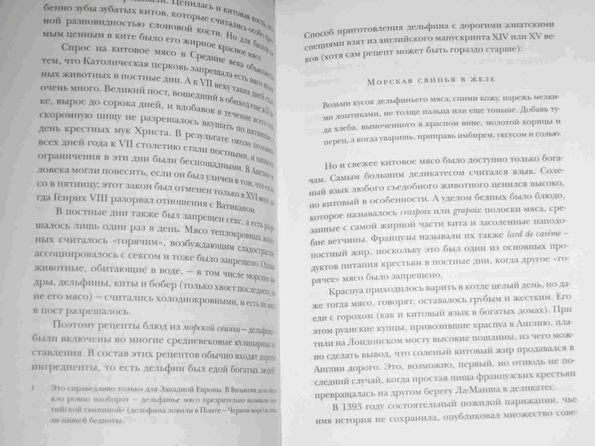 Краткое содержание убитый. Убить пересмешника содержание оглавление. Убить пересмешника книга картинки. Книги которые могут убить своим содержанием.