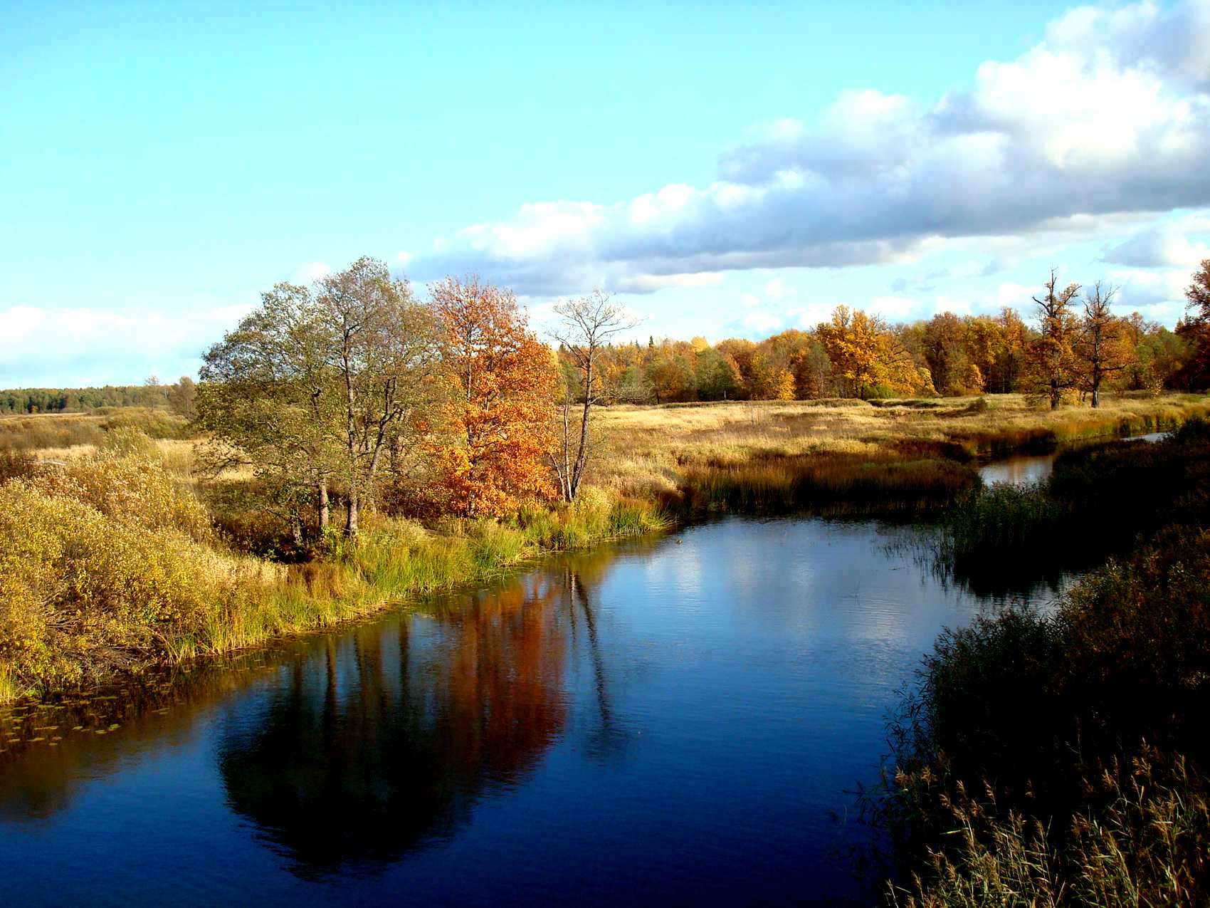 Природа глазами. Природа Поволжья. Природа Приволжья. Реки и озера Поволжья. Поволжье фото.