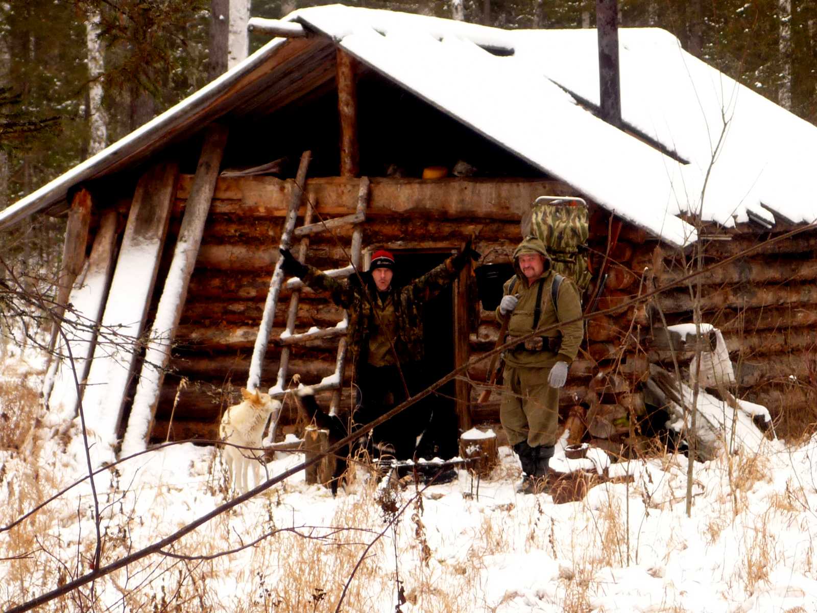 Охота в тайге в зимовьях. Зимовьё в тайге Хабаровский край. Охотничья изба в тайге. Охотничьи избушки в тайге. Охотничьи зимовья и избушки в тайге.